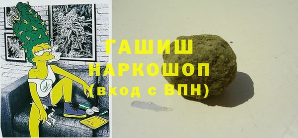 индика Абаза