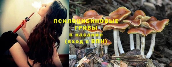 apvp Абдулино