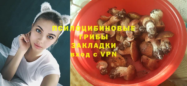 героин Алзамай