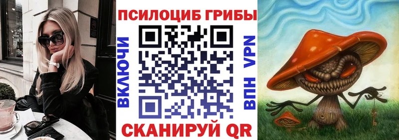 Псилоцибиновые грибы ЛСД  даркнет сайт  Ефремов 