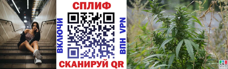Шишки марихуана MAZAR  omg сайт  Ефремов 